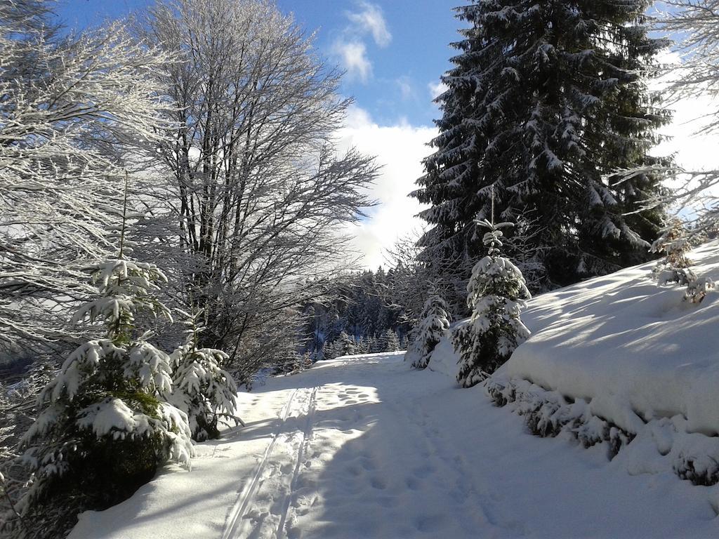 "Gutshof Lilienfein" - Medical Resort & Herbal Spa Im Suedschwarzwald Wieden Exterior photo